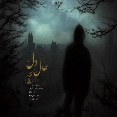 دانلود اهنگ سام سلیم حال دل