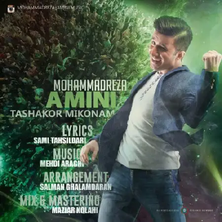 دانلود اهنگ محمدرضا امینی تشکر میکنم