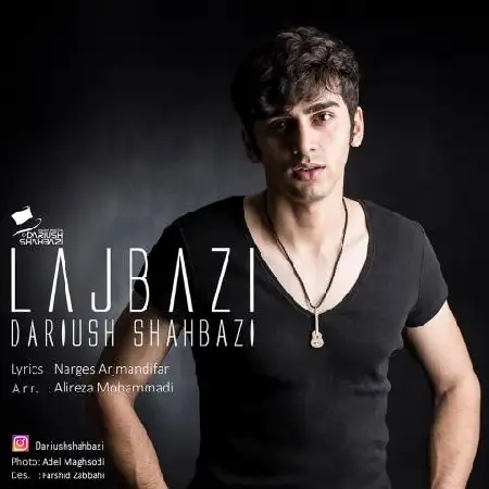 دانلود اهنگ داریوش شهبازی لجبازی