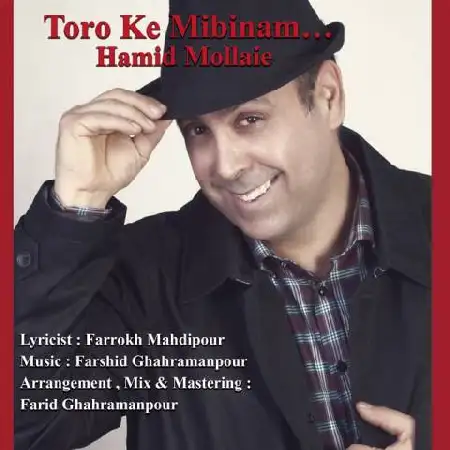دانلود اهنگ حمید مولایی تورو که میبینم
