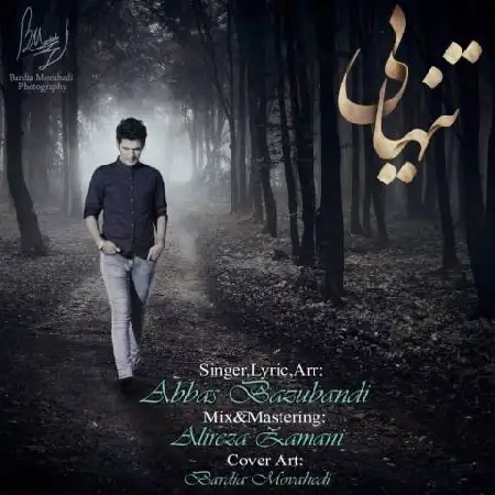 دانلود اهنگ عباس بازوبندی تنهایی