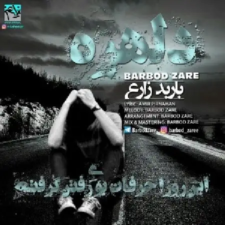 دانلود اهنگ باربد زارع دلهره