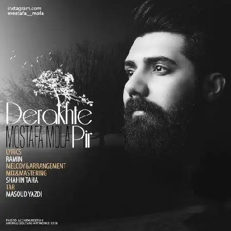 دانلود اهنگ مصطفی مولا دختر پیر