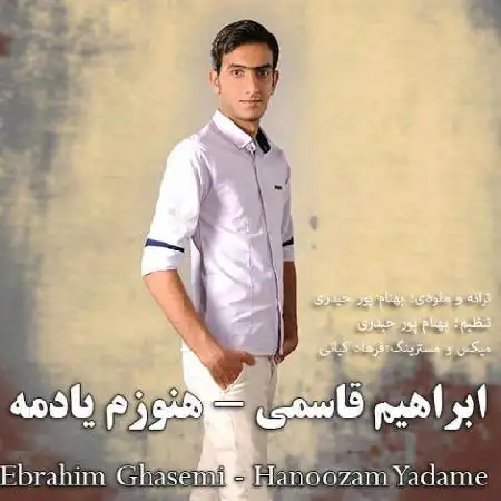 دانلود آلبوم تک اهنگ ها از ابراهیم قاسمی