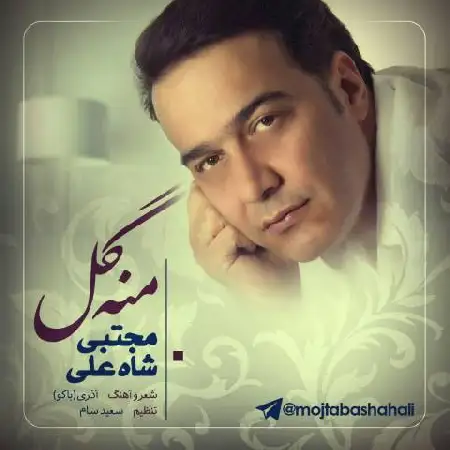 دانلود اهنگ مجتبی شاه علی منه گل