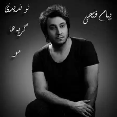 دانلود اهنگ پیام فتحی تو ندیدی گریه هامو