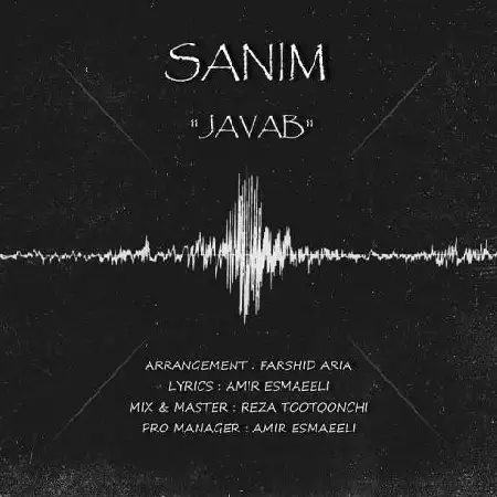 دانلود اهنگ صنیم جواب