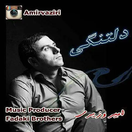 دانلود اهنگ امیر وزیری دلتنگی