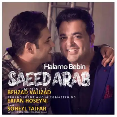 دانلود اهنگ سعید عرب حالمو ببین