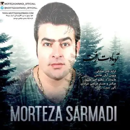 دانلود اهنگ مرتضی سرمدی تو یادت رفت