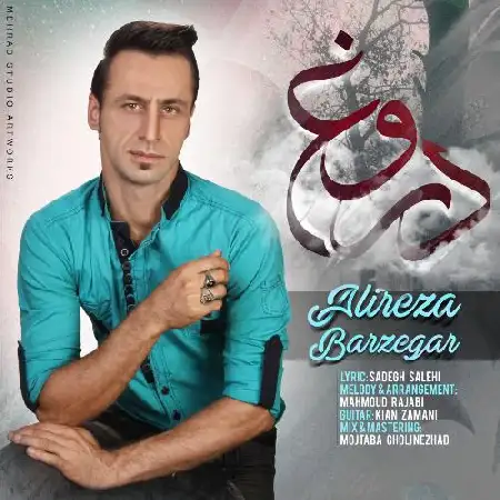 دانلود اهنگ علیرضا برزگر دروغ