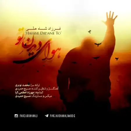 دانلود اهنگ فرزاد شاه علی هوای دیدن تو