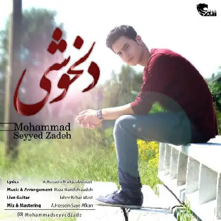 دانلود اهنگ محمد سید زاده دلخوشی
