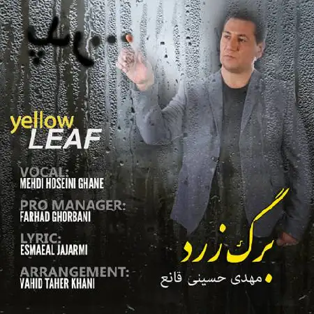 دانلود اهنگ مهدی حسینی قانع برگ زرد
