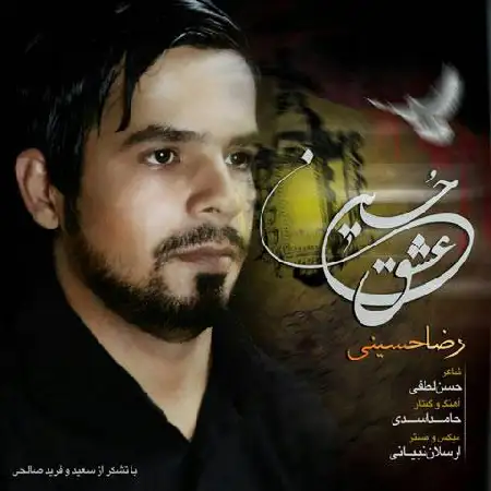 دانلود آلبوم تک اهنگ ها از رضا حسینی
