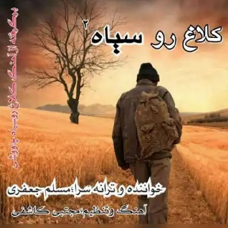 دانلود آلبوم تک اهنگ ها از مسلم جعفری