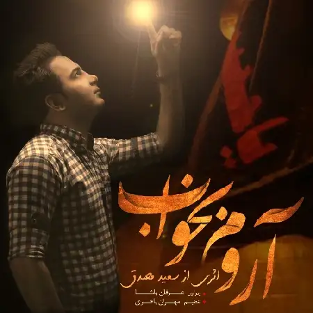 دانلود اهنگ سعید مصدق آروم بخواب