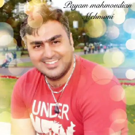 دانلود اهنگ پیام محمودیان مهمونی