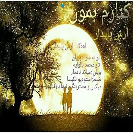 دانلود آلبوم تک اهنگ ها از آرش پایدار