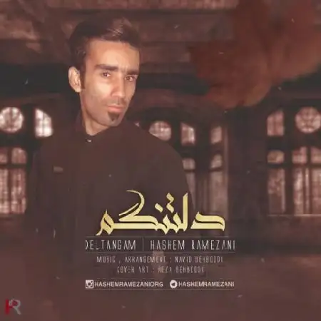 دانلود اهنگ هاشم رمضانی دلتنگم