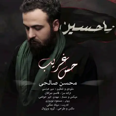 دانلود اهنگ محسن صالحی حس غریب