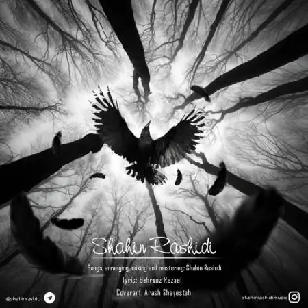 دانلود اهنگ شاهین رشیدی کلاغ