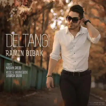 دانلود اهنگ رامین بی باک دلتنگی