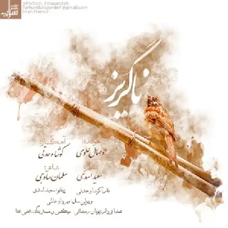 دانلود اهنگ وصال علوی ناگریز