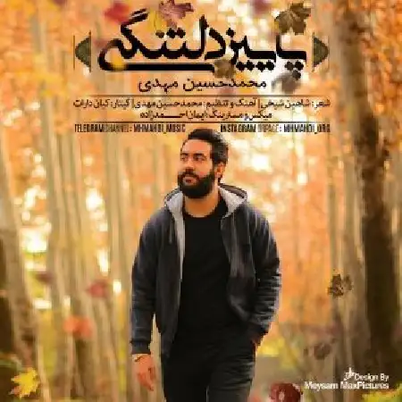دانلود اهنگ محمدحسین مهدی پاییزِ دلتنگی