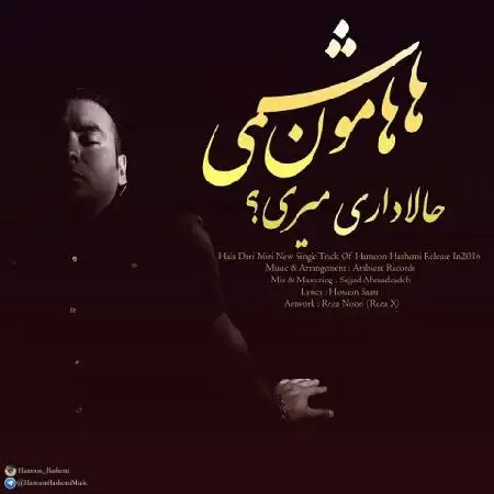دانلود اهنگ هامون هاشمی حالا داری میری