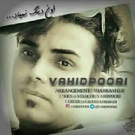 دانلود اهنگ وحید پوری اون دیگه نمیاد