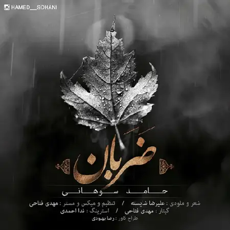دانلود اهنگ حامد سوهانی ضربان