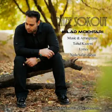 دانلود اهنگ میلاد مختاری راز سکوت