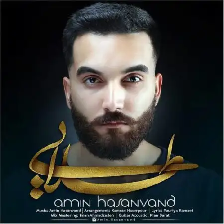 دانلود آلبوم تک اهنگ ها از امین حسنوند