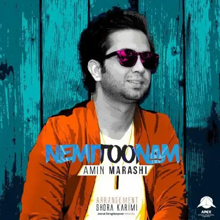 دانلود اهنگ امین مرعشی نمیتونم