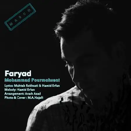 دانلود اهنگ محمد پورمحسنی فریاد