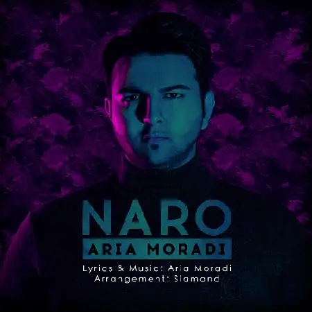 دانلود اهنگ آریا مرادی نرو