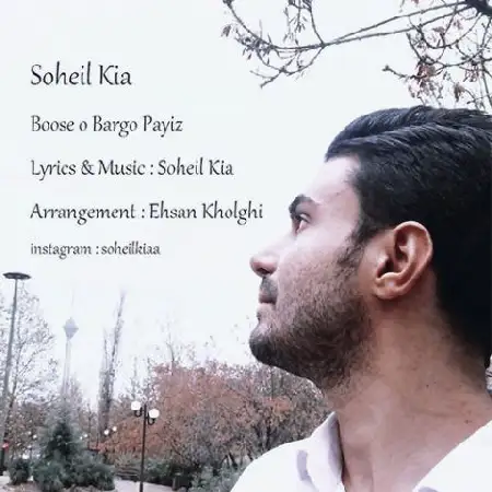 دانلود آلبوم تک اهنگ ها از سهیل کیا