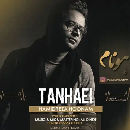 دانلود اهنگ حمیدرضا هونام تنهایی