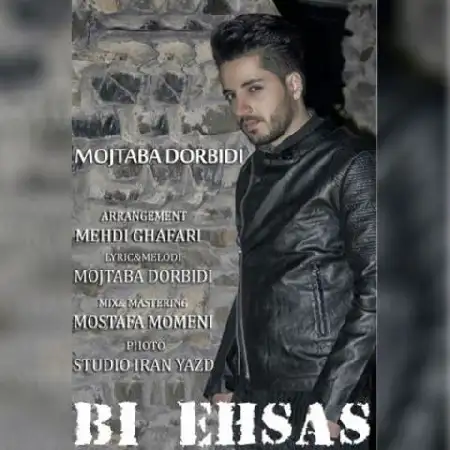 دانلود اهنگ مجتبی دربیدی بی احساس