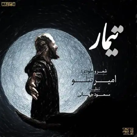 دانلود اهنگ امیرحسین مقصودلو تیمار