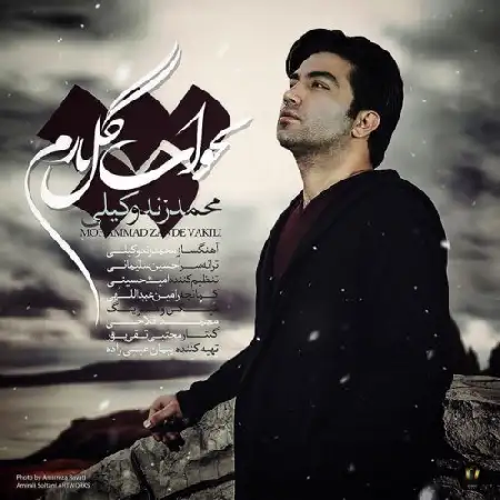 دانلود اهنگ محمد زند وکیلی بخواب گل ناز من