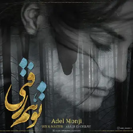 دانلود آلبوم تک اهنگ ها از عادل منجی