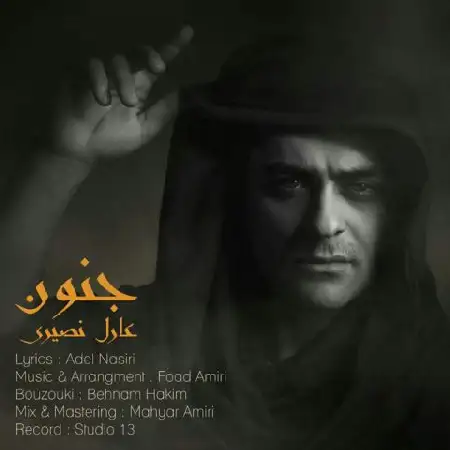 دانلود آلبوم تک اهنگ ها از عادل نصیری