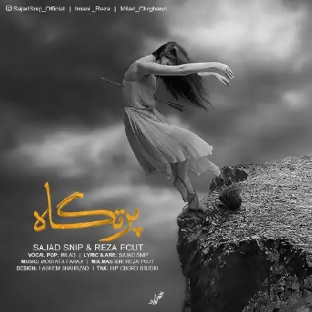 دانلود آلبوم تک اهنگ ها از سجاد اسنیپ و رضا پیکات و میلاد
