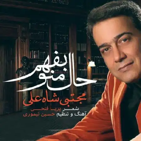دانلود اهنگ مجتبی شاه علی حال منو بفهم