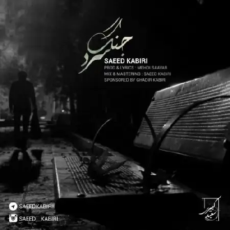 دانلود اهنگ سعید کبیری جنگ سرد