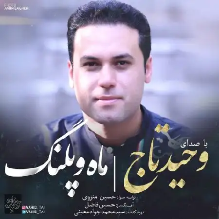 دانلود اهنگ وحید تاج ماه و پلنگ