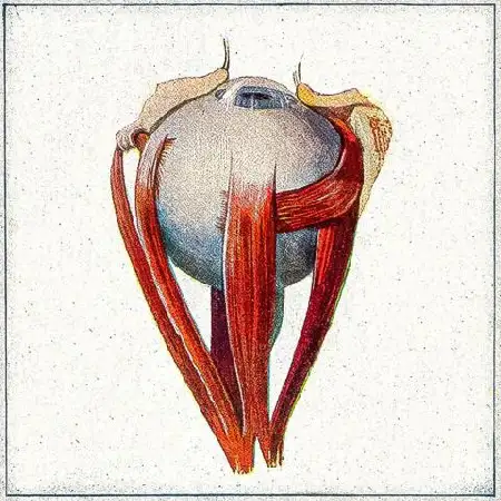 دانلود اهنگ هیچکس گریه داره