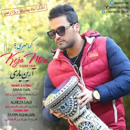 دانلود اهنگ آرین یاری کجا میری